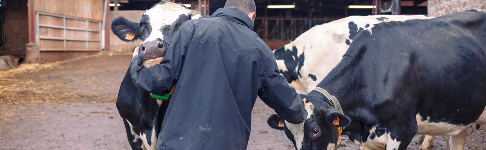 ¿Qué es el plan 150?